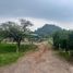  Land for sale in Ixhuacan De Los Reyes, Veracruz, Ixhuacan De Los Reyes