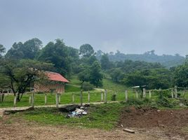  Land for sale in Ixhuacan De Los Reyes, Veracruz, Ixhuacan De Los Reyes