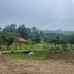  Land for sale in Ixhuacan De Los Reyes, Veracruz, Ixhuacan De Los Reyes