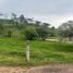  Land for sale in Ixhuacan De Los Reyes, Veracruz, Ixhuacan De Los Reyes