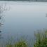  Land for sale in Gonzalez Tamaulipas, Gonzalez