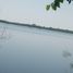  Land for sale in Gonzalez Tamaulipas, Gonzalez