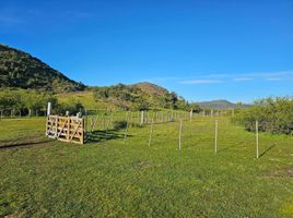  Terrain for sale in Chubut, Cushamen, Chubut