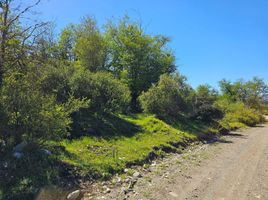  Terrain for sale in Chubut, Cushamen, Chubut