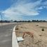  Terreno (Parcela) en venta en Corregidora, Querétaro, Corregidora