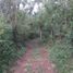  Land for sale in Chichimila, Yucatan, Chichimila