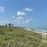  Land for sale in Champoton, Campeche, Champoton, Campeche
