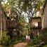 在Othon P Blanco, Quintana Roo出售的开间 住宅, Othon P Blanco