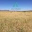 Studio House for sale in Chihuahua, Chihuahua, Chihuahua, Chihuahua
