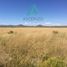 Studio House for sale in Chihuahua, Chihuahua, Chihuahua, Chihuahua