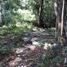  Terreno (Parcela) en venta en Valladolid, Yucatán, Valladolid