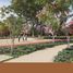  Land for sale in Hunucma, Yucatan, Hunucma