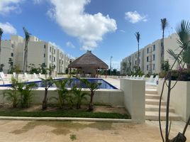 2 Habitación Departamento en alquiler en Cozumel, Quintana Roo, Cozumel, Quintana Roo