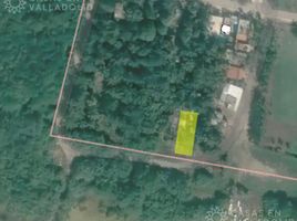  Terreno (Parcela) en venta en Bocas del Toro, Guabito, Changuinola, Bocas del Toro