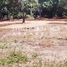  Land for sale in Tenango Del Valle, Mexico, Tenango Del Valle