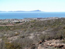  Grundstück zu verkaufen in Ensenada, Baja California, Ensenada
