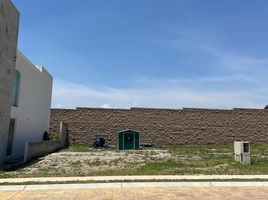  Grundstück zu verkaufen in Toluca, Mexico, Toluca