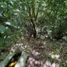  Land for sale in Tinum, Yucatan, Tinum
