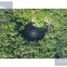 1 Bedroom House for sale in Valladolid, Yucatan, Valladolid
