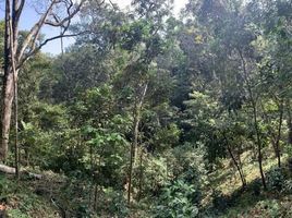  Terreno (Parcela) en venta en Oaxaca, Dist Pochutla, Oaxaca