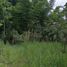  Terreno (Parcela) en venta en Oaxaca, Dist Pochutla, Oaxaca