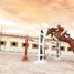  Land for sale in Santa Isabel Cholula, Puebla, Santa Isabel Cholula