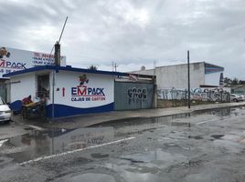  Terreno (Parcela) en alquiler en Cozumel, Quintana Roo, Cozumel, Quintana Roo