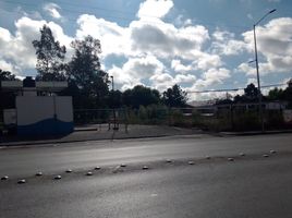  Terreno (Parcela) en alquiler en Puebla, Puebla, Puebla, Puebla