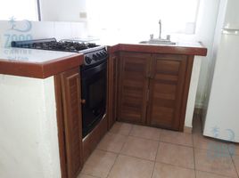 1 Schlafzimmer Appartement zu vermieten in Playa del Carmen, Cozumel, Cozumel