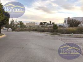  Land for rent in Guanajuato, Leon, Guanajuato