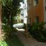 2 Habitación Departamento en alquiler en Cozumel, Quintana Roo, Cozumel, Quintana Roo