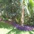 3 Bedroom Condo for rent in Cancun, Quintana Roo, Cancun