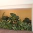 3 Bedroom Condo for rent in Cancun, Quintana Roo, Cancun