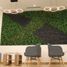 81 Sqft Office for rent in Hermosillo, Sonora, Hermosillo