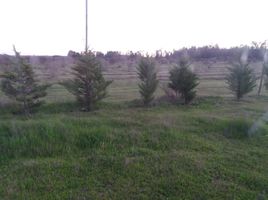  Terrain for sale in Litueche, Cardenal Caro, Litueche