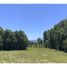  Terrain for sale in Cautin, Araucania, Villarrica, Cautin