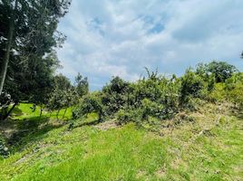  Land for sale in Sopo, Cundinamarca, Sopo