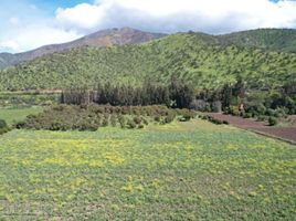  Land for sale in Buin, Maipo, Buin