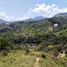  Grundstück zu verkaufen in Cocorna, Antioquia, Cocorna