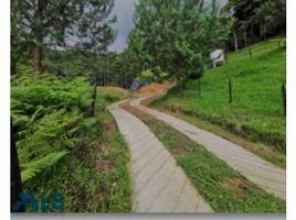  Land for sale in Sabaneta, Antioquia, Sabaneta