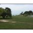  Land for sale in San Carlos, Panama Oeste, San Carlos, San Carlos