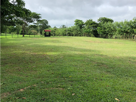  Terreno (Parcela) en venta en UTP-Centro Regional De Panamá Oeste, Guadalupe, El Coco