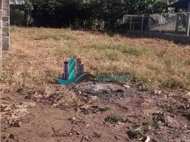  Land for sale in San Pablo Viejo, David, San Pablo Viejo