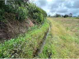  Terreno (Parcela) en venta en Imbabura, San Fco. De Natabuela, Antonio Ante, Imbabura