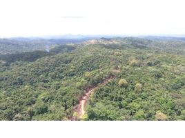  Land for sale in Colon, Buena Vista, Colon, Colon