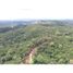  Land for sale in Buena Vista, Colon, Buena Vista, Colon, Colon