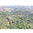  Land for sale in Colon, Buena Vista, Colon, Colon