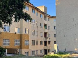 2 Schlafzimmer Wohnung zu vermieten in Zapopan, Jalisco, Zapopan