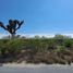  Land for sale in Salinas Victoria, Nuevo Leon, Salinas Victoria
