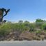  Land for sale in Salinas Victoria, Nuevo Leon, Salinas Victoria